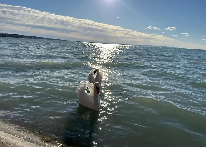 Agica Nyaralo באלאטונקנשה